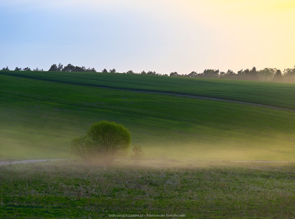 Pola i kurz (147.9453125 kB)