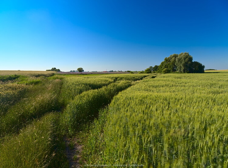 Kończąca się ścieżka (152.9482421875 kB)