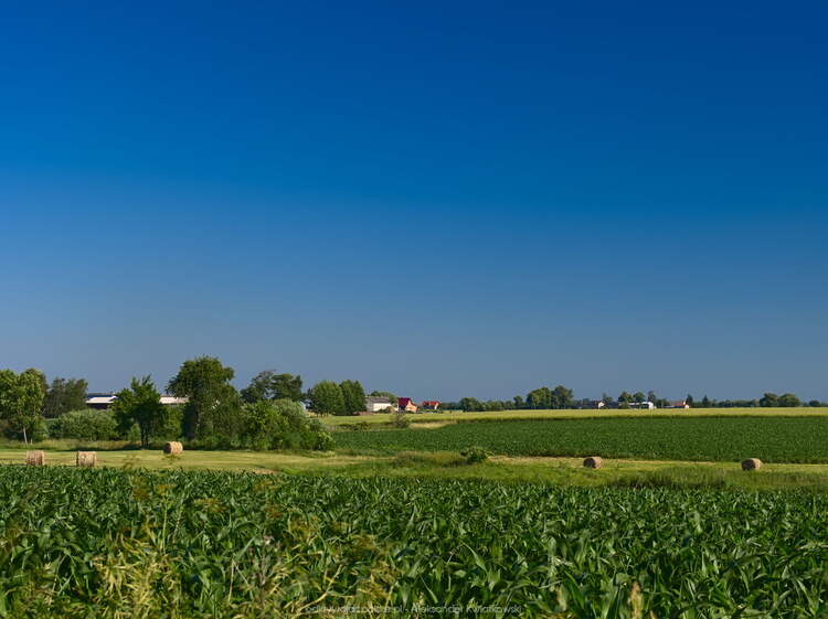 Okolica Pomarzanki (121.6826171875 kB)