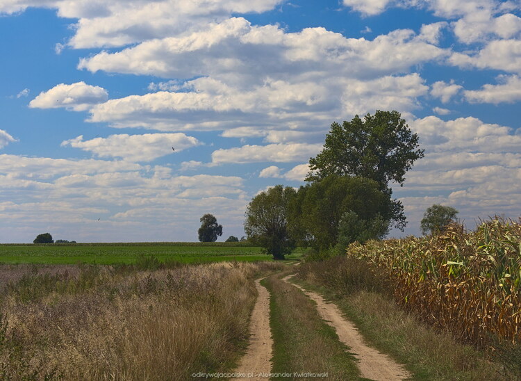 Dalsze okolice Węglewa (156.5791015625 kB)