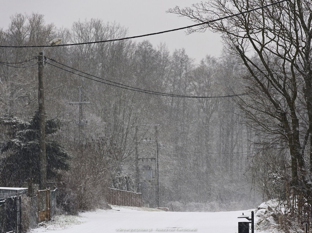 Zamieć śnieżna w Gorzkim Polu (251.82421875 kB)
