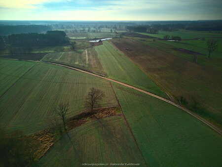 2023_01_08__11_43_DJI_0113.jpg