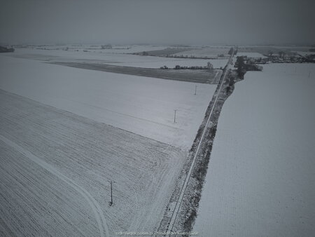 2023_01_22__11_14_DJI_0055.jpg