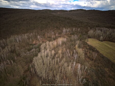 2023_02_26__11_55_DJI_0637.jpg