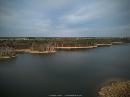 2023_03_17__15_37_DJI_0061.jpg