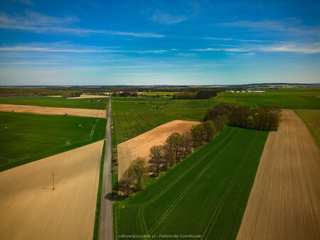 2023_05_01__12_46_DJI_0761.jpg