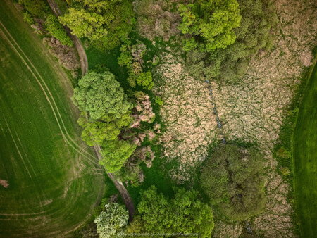 2023_05_07__17_17_DJI_0892.jpg