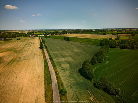 2023_05_27__12_46_DJI_0245.jpg