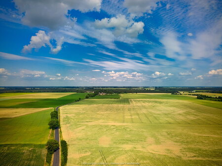 2023_06_25__16_28_DJI_0466.jpg