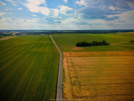 2023_06_25__16_55_DJI_0495.jpg