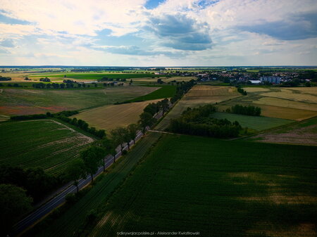 2023_06_25__17_43_DJI_0538.jpg