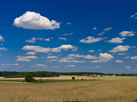 Widok na Podlesie Wysokie