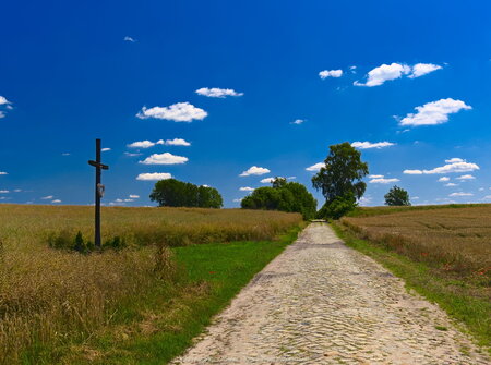 Droga z Popowa Kościelnego do Pląskowa