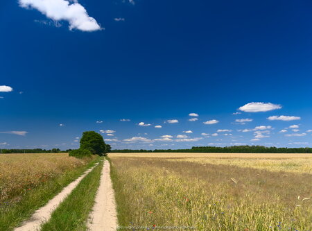 Zbliżając się do Pląskowa