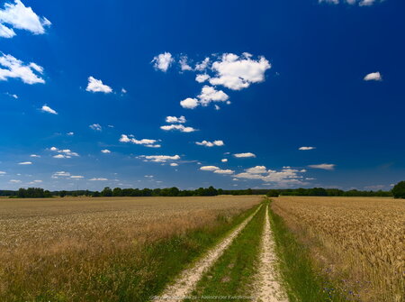 Zbliżając się do Pląskowa (2)