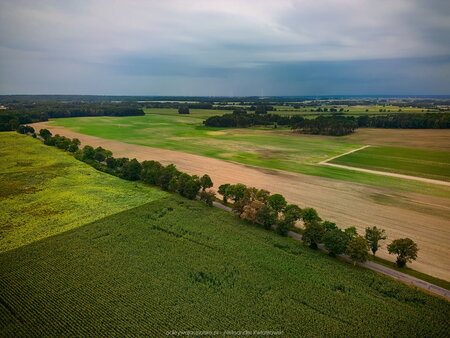 2023_08_26__10_59_DJI_0983.jpg