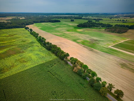 2023_08_26__11_03_DJI_0995.jpg