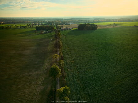 2023_11_11__14_53_DJI_0411.jpg