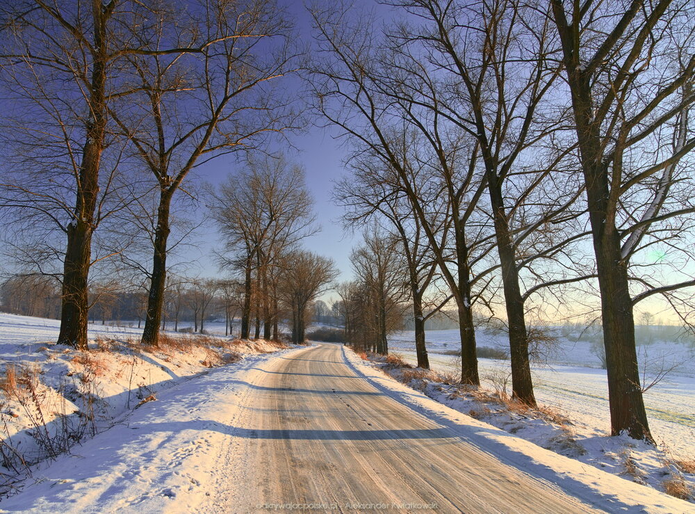 Opuszczając Ziębice (337.005859375 kB)