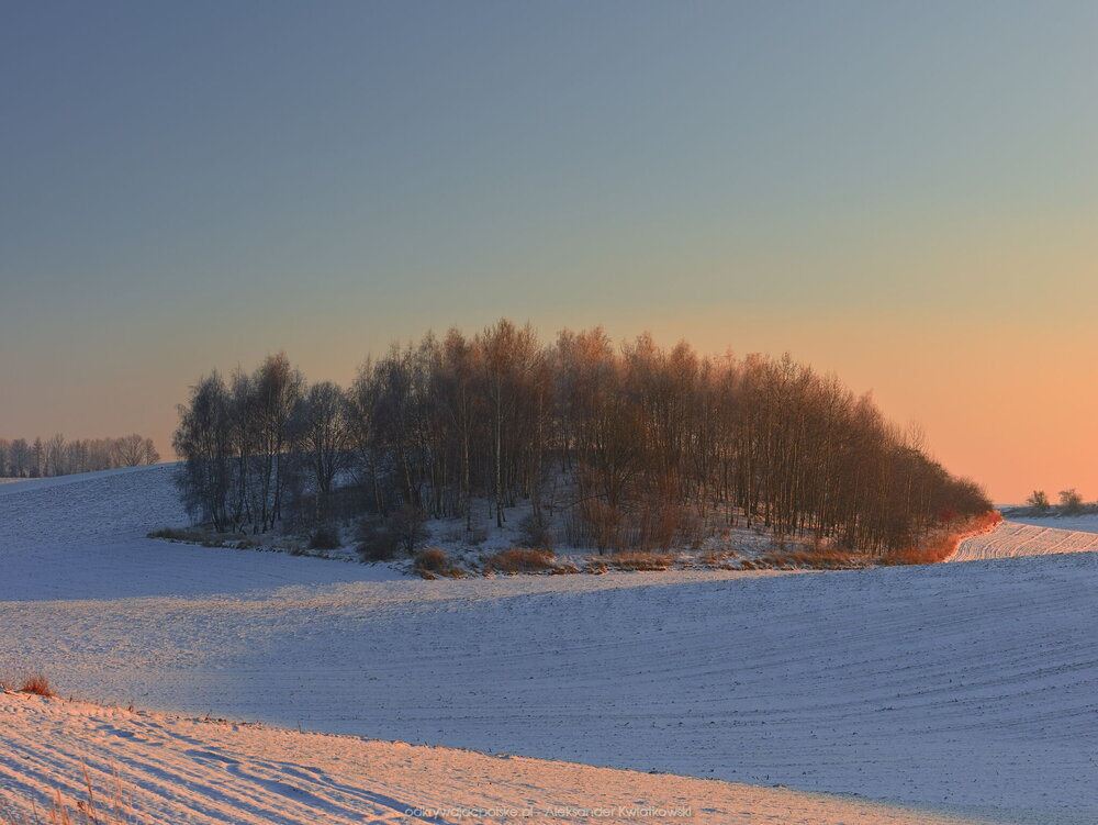 Mały lasek (153.431640625 kB)