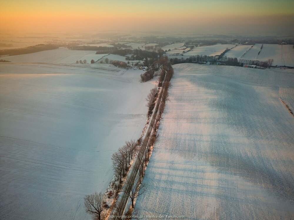 Powrotna droga do Ziębic (162.4833984375 kB)