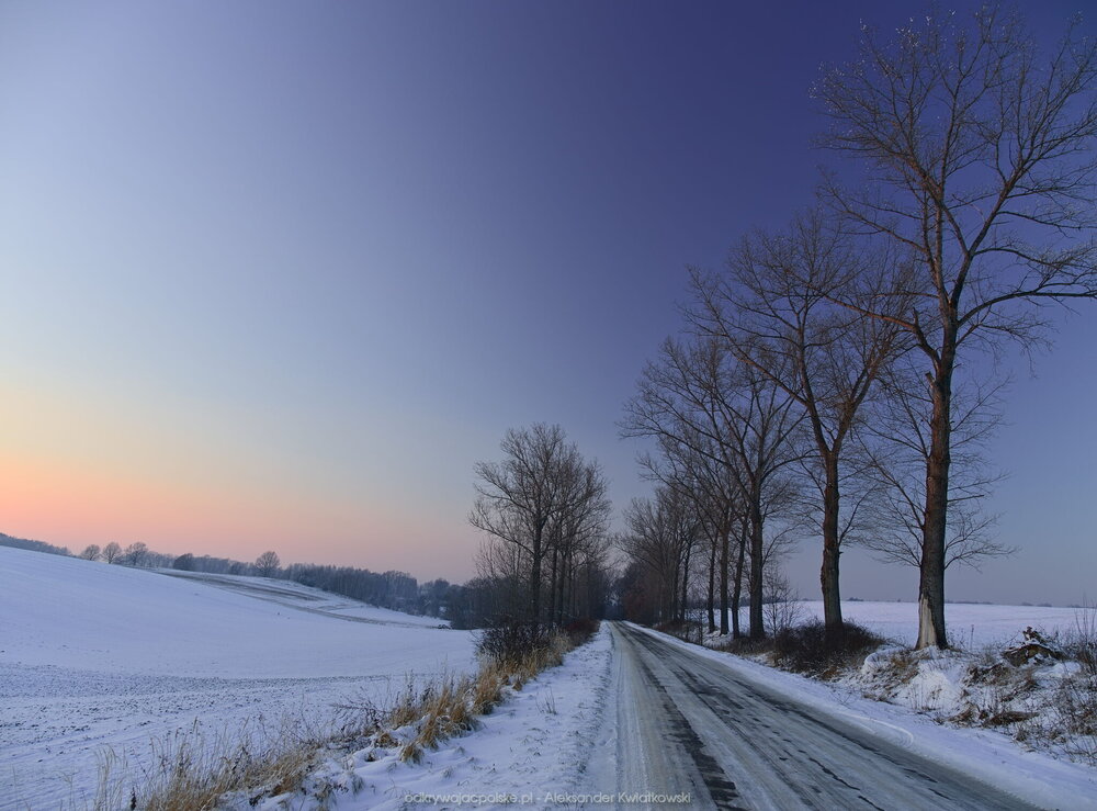 Powrót podczas niebieskiej godziny (171.3564453125 kB)