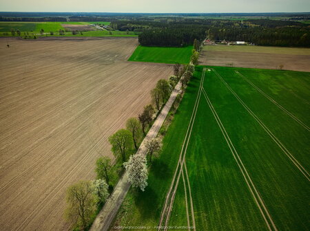 2024_04_07__11_49_DJI_0111.jpg