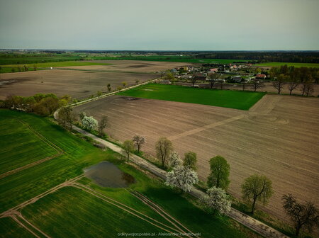 2024_04_07__11_50_DJI_0118.jpg