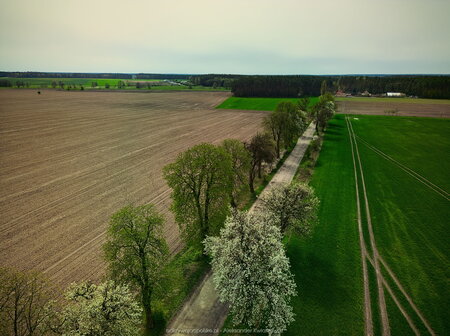 2024_04_07__12_03_DJI_0147.jpg