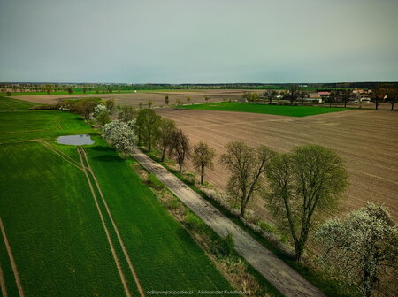 2024_04_07__12_04_DJI_0149.jpg