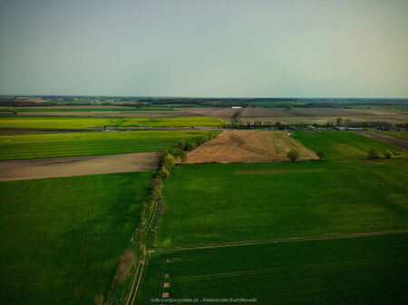 2024_04_09__08_28_DJI_0179.jpg