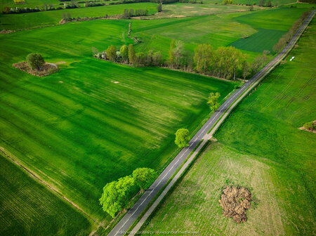 2024_04_09__09_29_DJI_0224.jpg