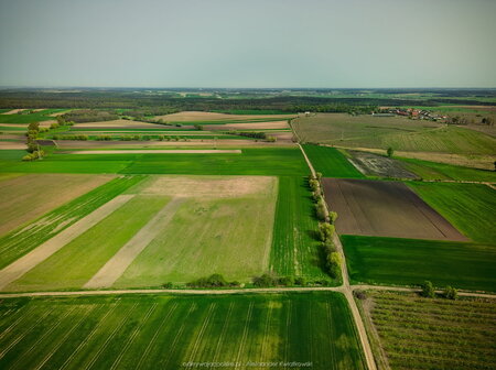 2024_04_09__09_58_DJI_0233.jpg