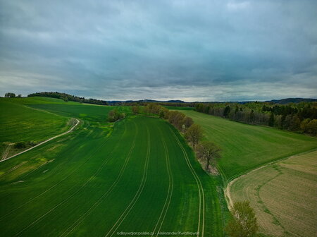 2024_04_19__18_53_DJI_0253.jpg