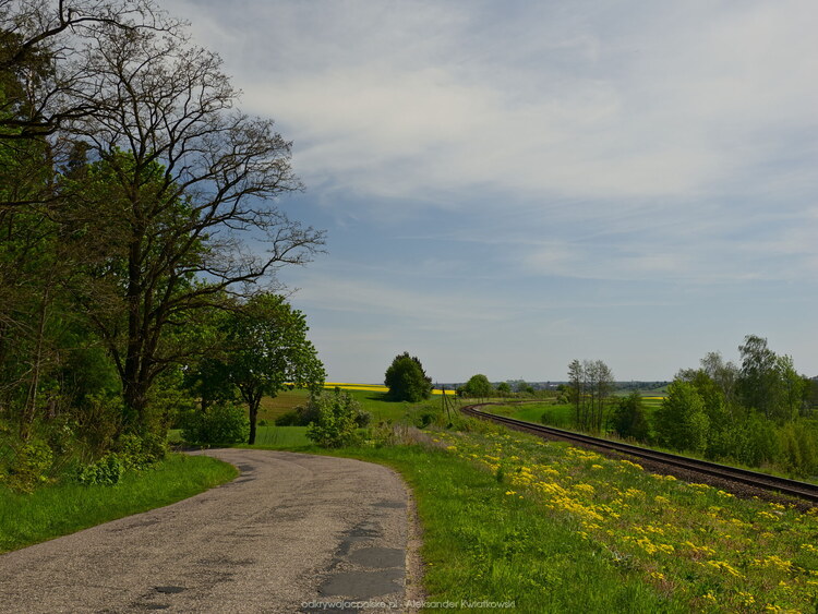 Między stacją w Żalno i Tucholi (161.0732421875 kB)