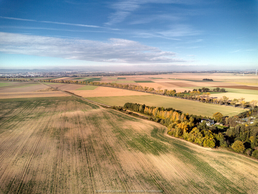 Tory do Świdnicy (279.7900390625 kB)