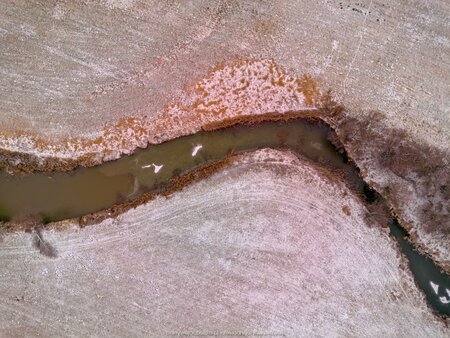 2025_01_11__09_30_DJI_0769.jpg