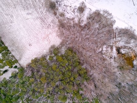 2025_01_11__09_44_DJI_0810.jpg