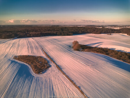 2025_02_16__16_24_DJI_0895.jpg