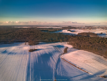 2025_02_16__16_30_DJI_0919.jpg