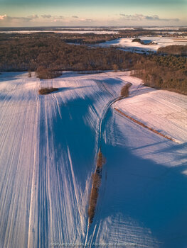 2025_02_16__16_30_DJI_0920.jpg