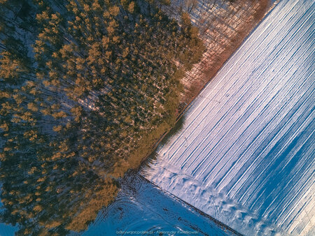 2025_02_16__16_33_DJI_0930.jpg