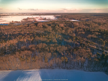 2025_02_16__16_35_DJI_0936.jpg