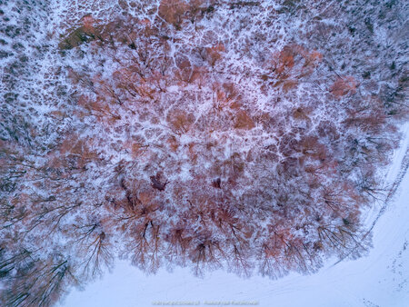 2025_02_18__17_05_DJI_0120.jpg