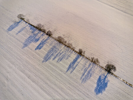 2025_02_18__14_25_DJI_0016.jpg