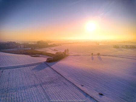 2025_02_20__07_50_DJI_0221.jpg
