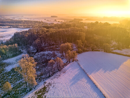 2025_02_20__07_55_DJI_0238.jpg