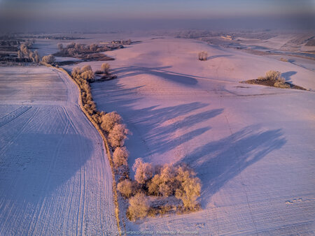 2025_02_20__08_00_DJI_0264.jpg