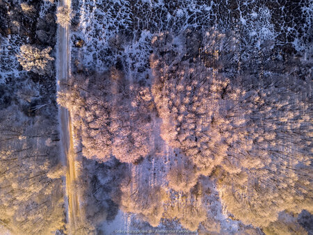 2025_02_20__08_48_DJI_0316.jpg