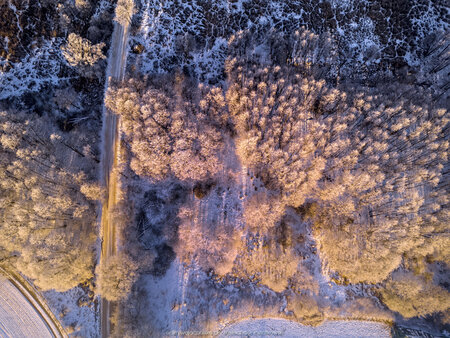 2025_02_20__08_48_DJI_0319.jpg